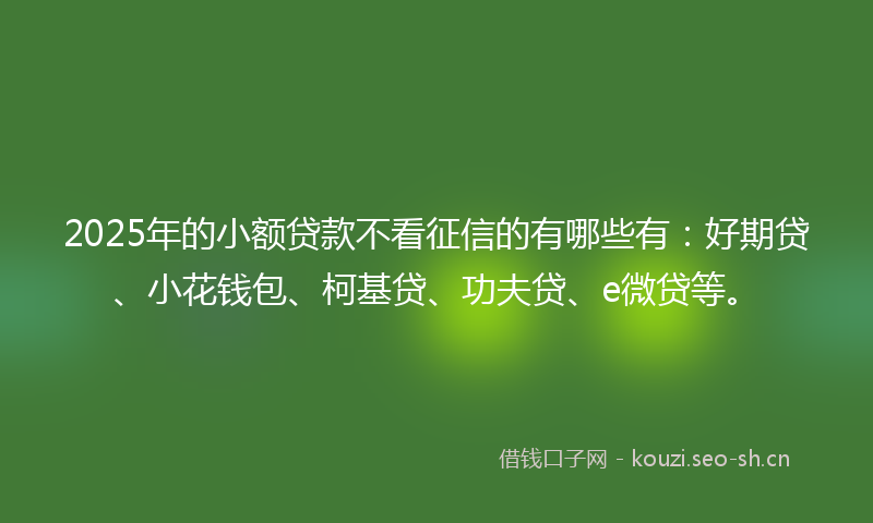 2025年的小额贷款不看征信的有哪些有：好期贷、小花钱包、柯基贷、功夫贷、e微贷等。