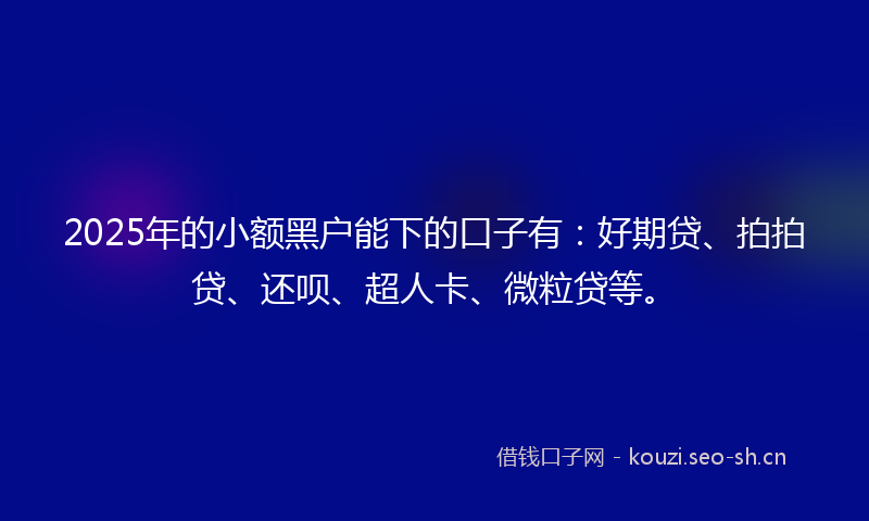 2025年的小额黑户能下的口子有：好期贷、拍拍贷、还呗、超人卡、微粒贷等。