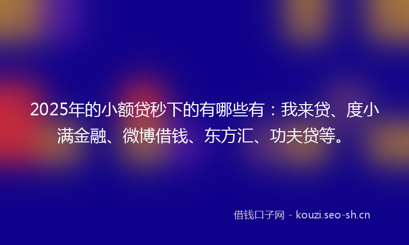 2025年的小额贷秒下的有哪些有：我来贷、度小满金融、微博借钱、东方汇、功夫贷等。