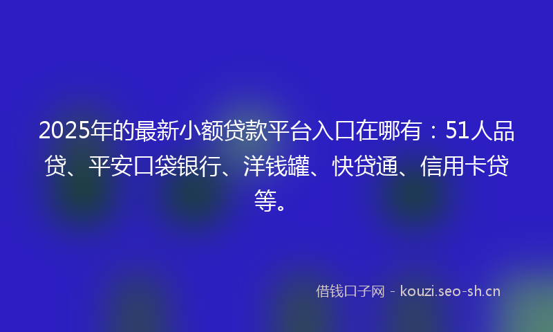 2025年的最新小额贷款平台入口在哪有:51人品贷、平安口袋银行、洋钱罐、快贷通、信用卡贷等。