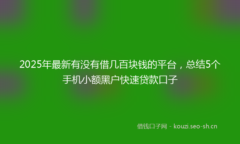 2025年最新有没有借几百块钱的平台，总结5个手机小额黑户快速贷款口子