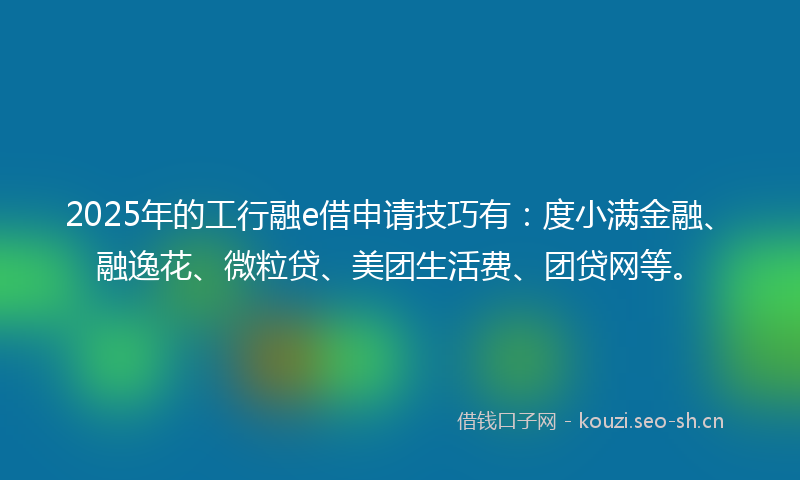 2025年的工行融e借申请技巧有：度小满金融、融逸花、微粒贷、美团生活费、团贷网等。