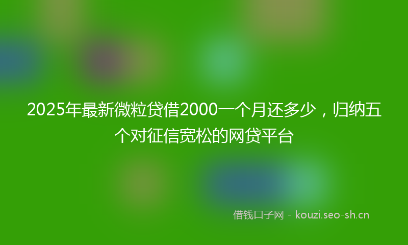 2025年最新微粒贷借2000一个月还多少，归纳五个对征信宽松的网贷平台