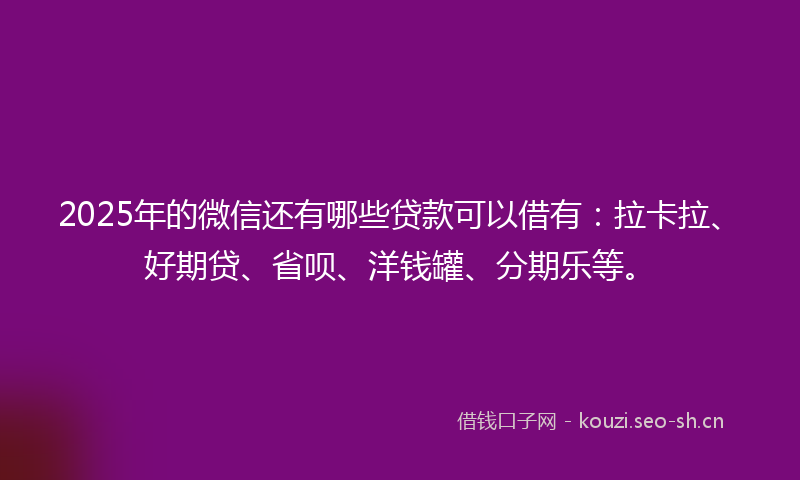 2025年的微信还有哪些贷款可以借有：拉卡拉、好期贷、省呗、洋钱罐、分期乐等。