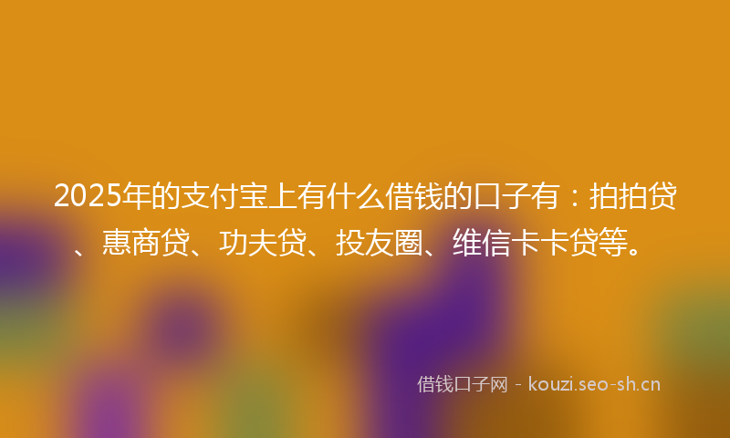 2025年的支付宝上有什么借钱的口子有：拍拍贷、惠商贷、功夫贷、投友圈、维信卡卡贷等。