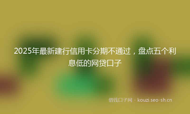 2025年最新建行信用卡分期不通过，盘点五个利息低的网贷口子
