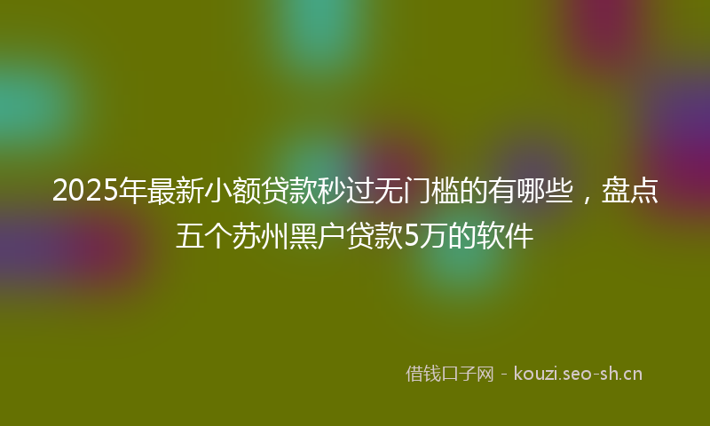 2025年最新小额贷款秒过无门槛的有哪些，盘点五个苏州黑户贷款5万的软件