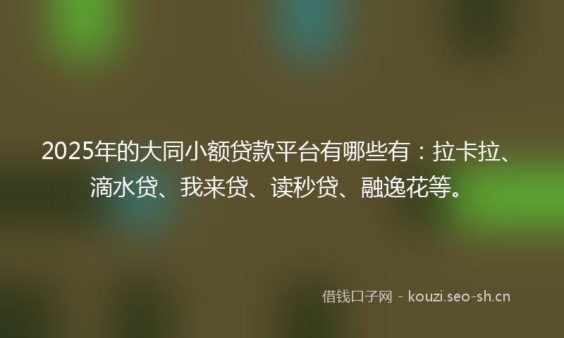 2025年的大同小额贷款平台有哪些有：拉卡拉、滴水贷、我来贷、读秒贷、融逸花等。