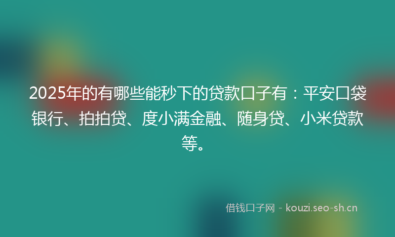 2025年的有哪些能秒下的贷款口子有：平安口袋银行、拍拍贷、度小满金融、随身贷、小米贷款等。