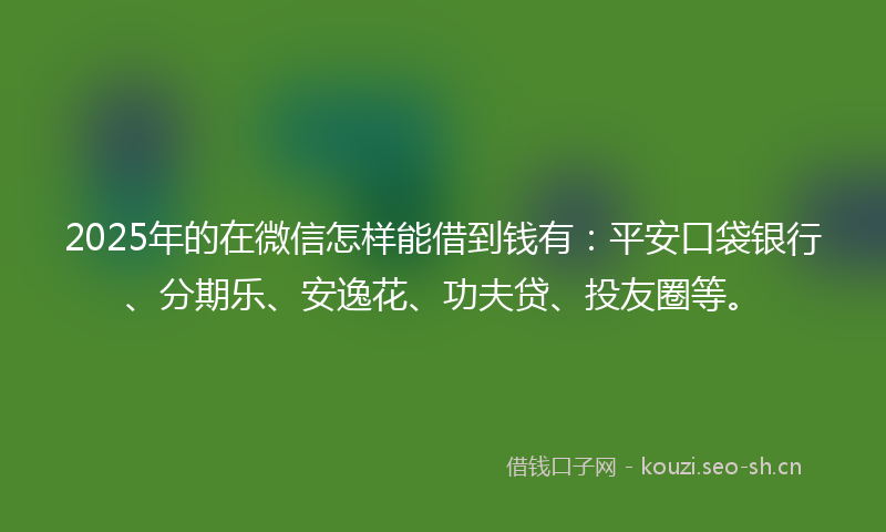 2025年的在微信怎样能借到钱有：平安口袋银行、分期乐、安逸花、功夫贷、投友圈等。