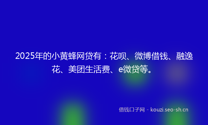 2025年的小黄蜂网贷有：花呗、微博借钱、融逸花、美团生活费、e微贷等。