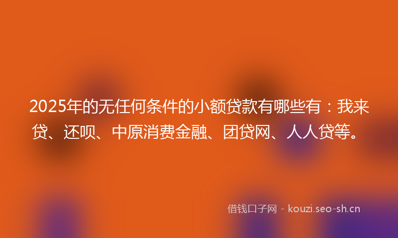 2025年的无任何条件的小额贷款有哪些有：我来贷、还呗、中原消费金融、团贷网、人人贷等。
