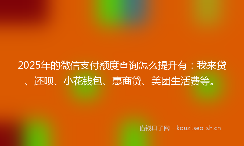 2025年的微信支付额度查询怎么提升有：我来贷、还呗、小花钱包、惠商贷、美团生活费等。