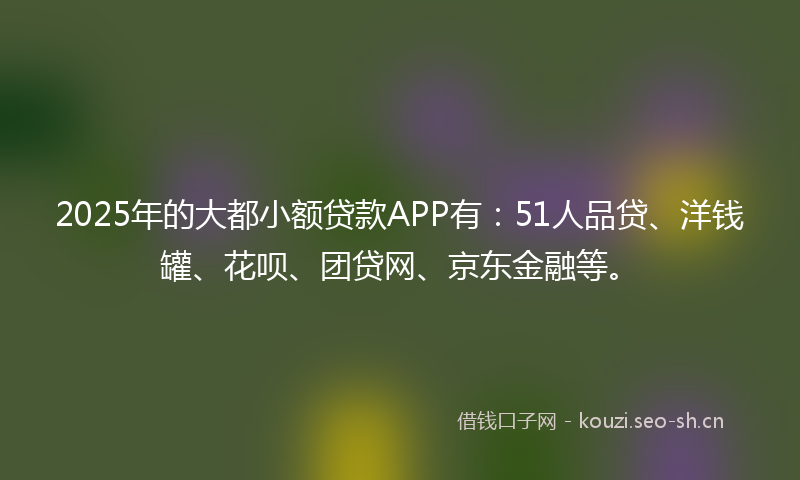 2025年的大都小额贷款APP有：51人品贷、洋钱罐、花呗、团贷网、京东金融等。