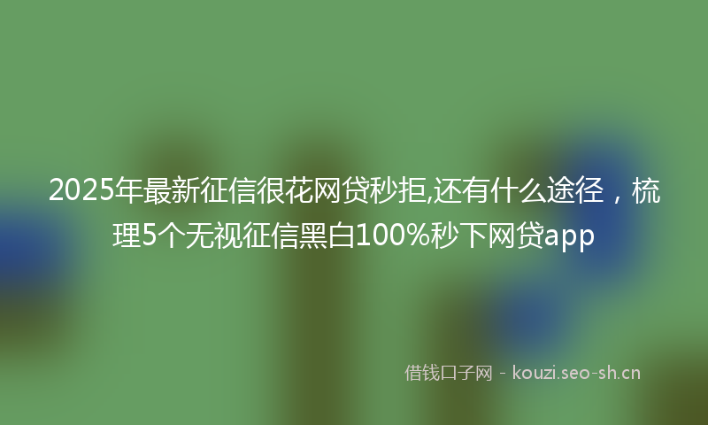 2025年最新征信很花网贷秒拒,还有什么途径，梳理5个无视征信黑白100%秒下网贷app