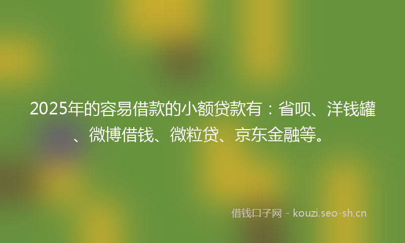 2025年的容易借款的小额贷款有：省呗、洋钱罐、微博借钱、微粒贷、京东金融等。