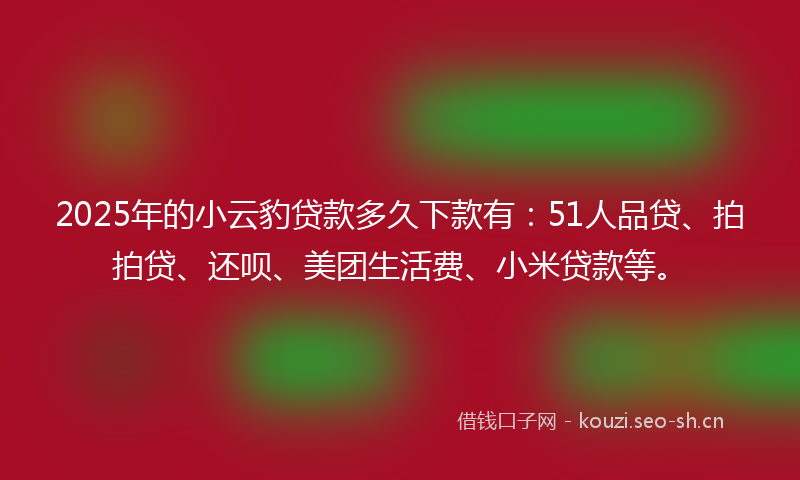 2025年的小云豹贷款多久下款有：51人品贷、拍拍贷、还呗、美团生活费、小米贷款等。