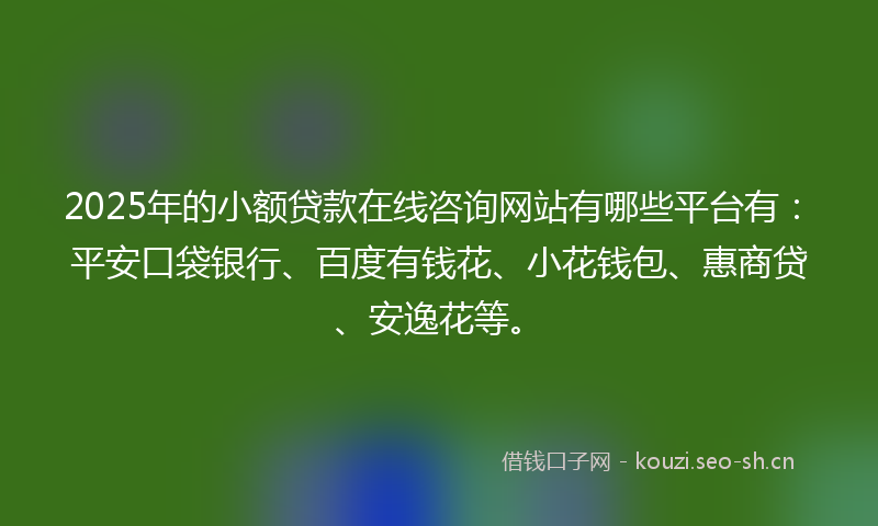 2025年的小额贷款在线咨询网站有哪些平台有：平安口袋银行、百度有钱花、小花钱包、惠商贷、安逸花等。