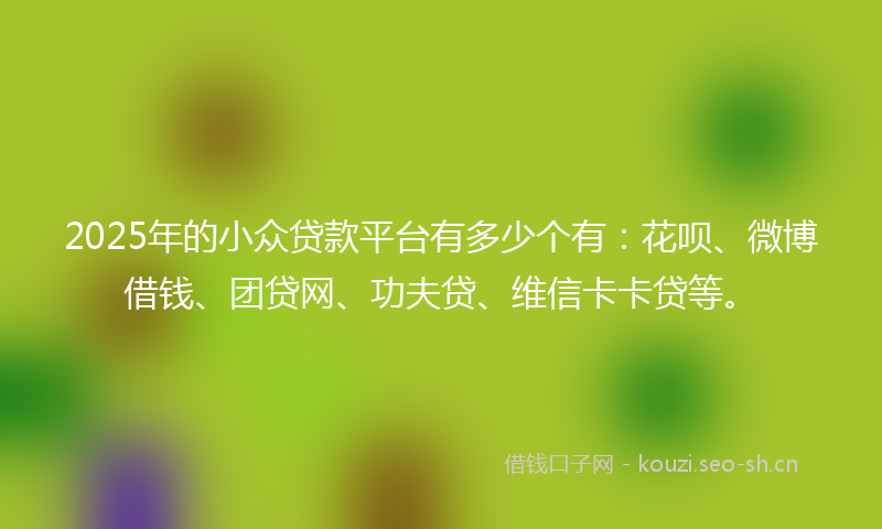 2025年的小众贷款平台有多少个有：花呗、微博借钱、团贷网、功夫贷、维信卡卡贷等。