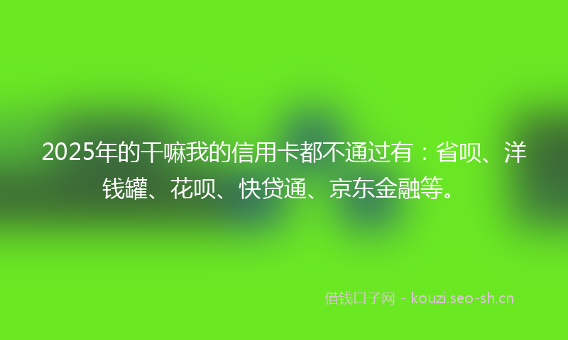 2025年的干嘛我的信用卡都不通过有:省呗、洋钱罐、花呗、快贷通、京东金融等。