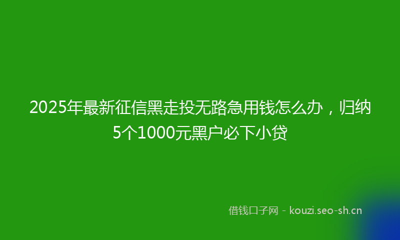 2025年最新征信黑走投无路急用钱怎么办，归纳5个1000元黑户必下小贷
