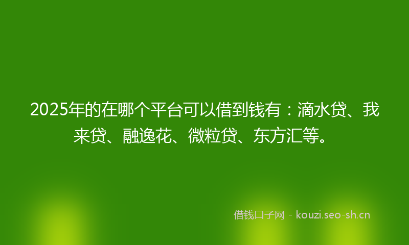 2025年的在哪个平台可以借到钱有：滴水贷、我来贷、融逸花、微粒贷、东方汇等。