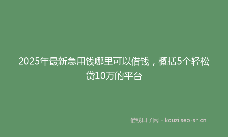 2025年最新急用钱哪里可以借钱，概括5个轻松贷10万的平台