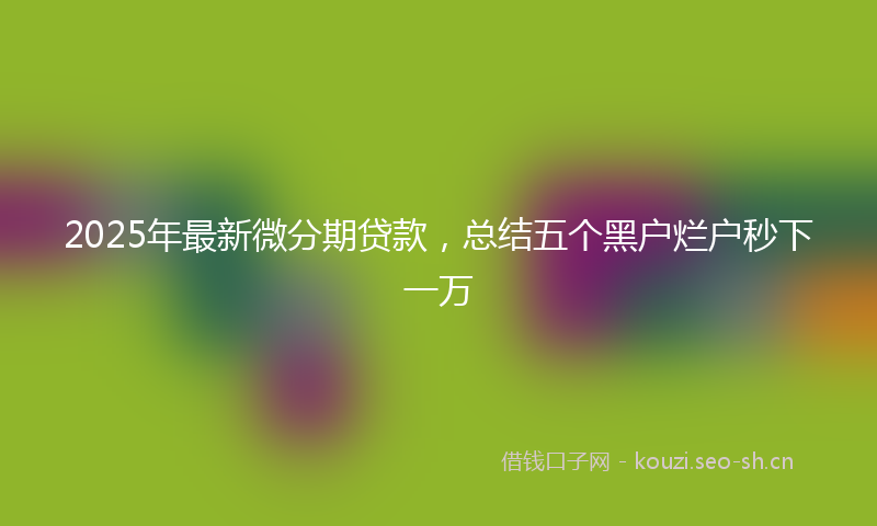 2025年最新微分期贷款，总结五个黑户烂户秒下一万