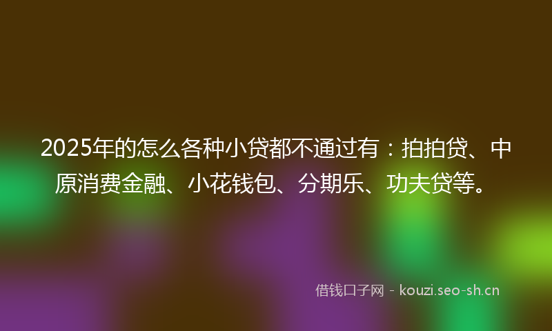 2025年的怎么各种小贷都不通过有：拍拍贷、中原消费金融、小花钱包、分期乐、功夫贷等。