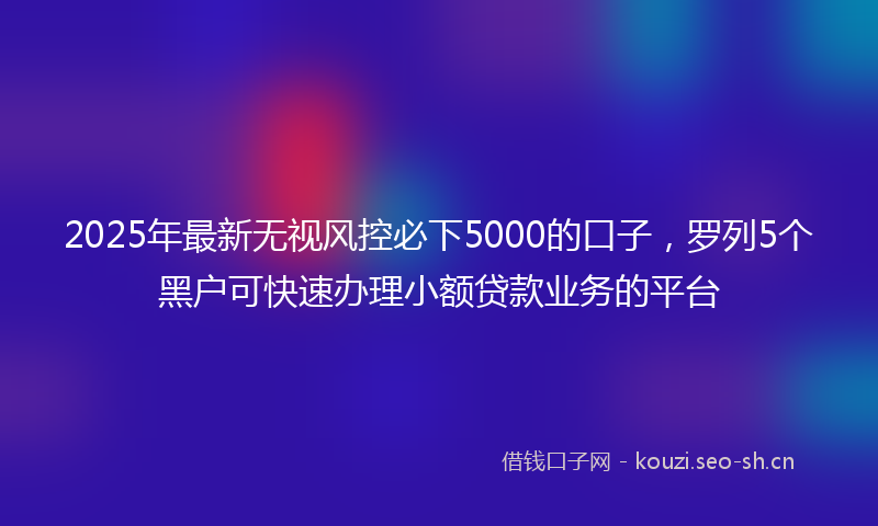 2025年最新无视风控必下5000的口子，罗列5个黑户可快速办理小额贷款业务的平台