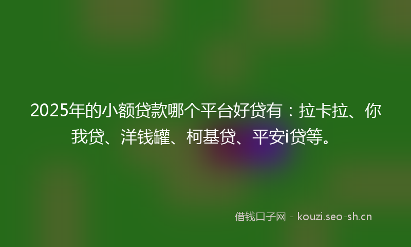 2025年的小额贷款哪个平台好贷有：拉卡拉、你我贷、洋钱罐、柯基贷、平安i贷等。