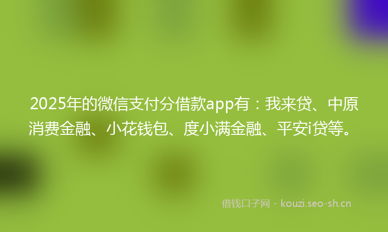 2025年的微信支付分借款app有：我来贷、中原消费金融、小花钱包、度小满金融、平安i贷等。