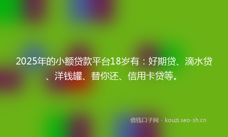 2025年的小额贷款平台18岁有：好期贷、滴水贷、洋钱罐、替你还、信用卡贷等。