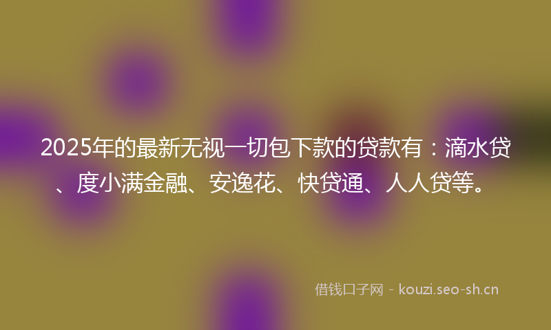 2025年的最新无视一切包下款的贷款有：滴水贷、度小满金融、安逸花、快贷通、人人贷等。