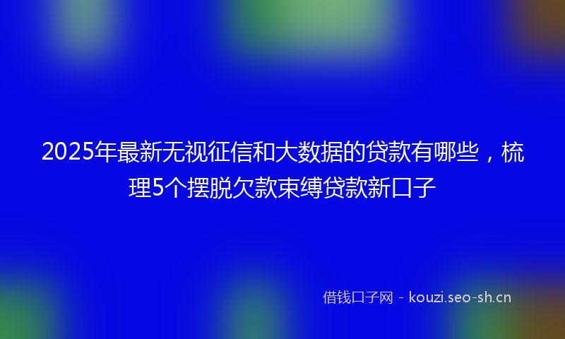 2025年最新无视征信和大数据的贷款有哪些，梳理5个摆脱欠款束缚贷款新口子