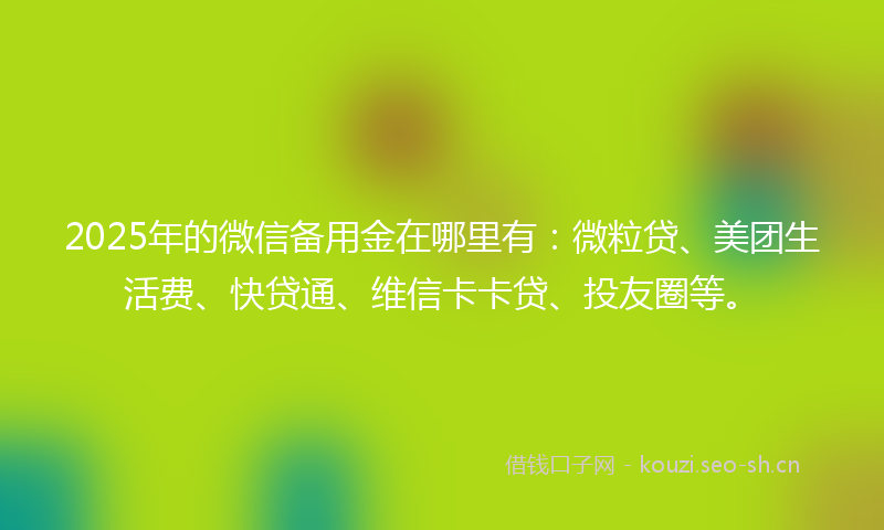 2025年的微信备用金在哪里有：微粒贷、美团生活费、快贷通、维信卡卡贷、投友圈等。