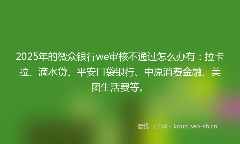 2025年的微众银行we审核不通过怎么办有：拉卡拉、滴水贷、平安口袋银行、中原消费金融、美团生活费等。