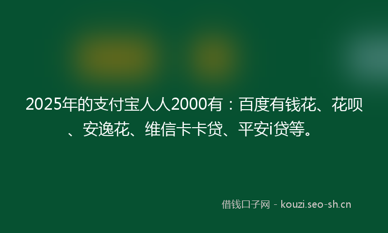 2025年的支付宝人人2000有：百度有钱花、花呗、安逸花、维信卡卡贷、平安i贷等。