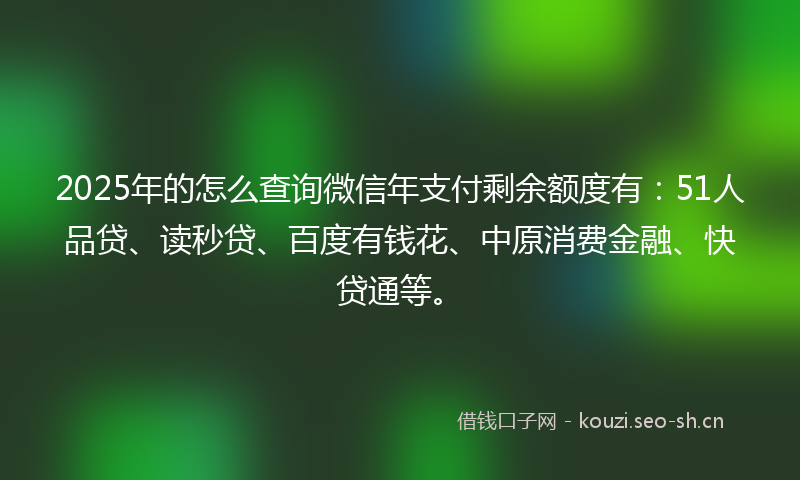 2025年的怎么查询微信年支付剩余额度有：51人品贷、读秒贷、百度有钱花、中原消费金融、快贷通等。