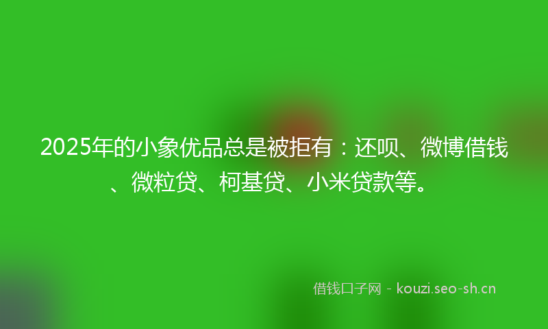 2025年的小象优品总是被拒有：还呗、微博借钱、微粒贷、柯基贷、小米贷款等。