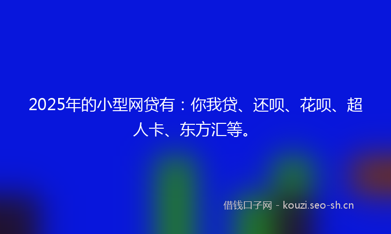 2025年的小型网贷有：你我贷、还呗、花呗、超人卡、东方汇等。