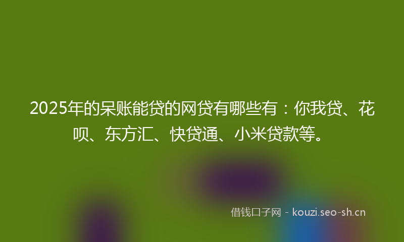 2025年的呆账能贷的网贷有哪些有：你我贷、花呗、东方汇、快贷通、小米贷款等。