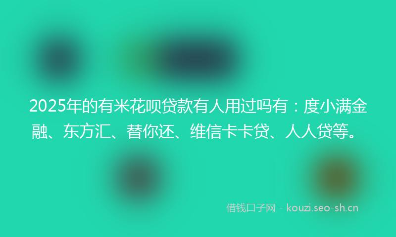 2025年的有米花呗贷款有人用过吗有：度小满金融、东方汇、替你还、维信卡卡贷、人人贷等。