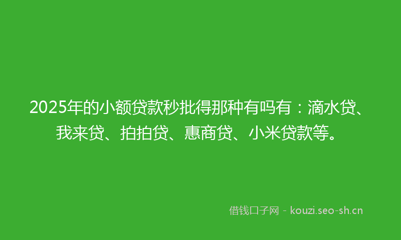 2025年的小额贷款秒批得那种有吗有：滴水贷、我来贷、拍拍贷、惠商贷、小米贷款等。
