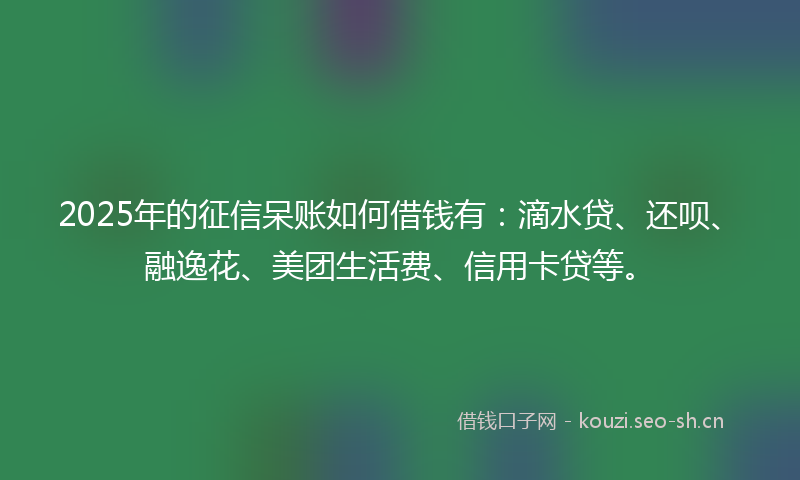 2025年的征信呆账如何借钱有：滴水贷、还呗、融逸花、美团生活费、信用卡贷等。