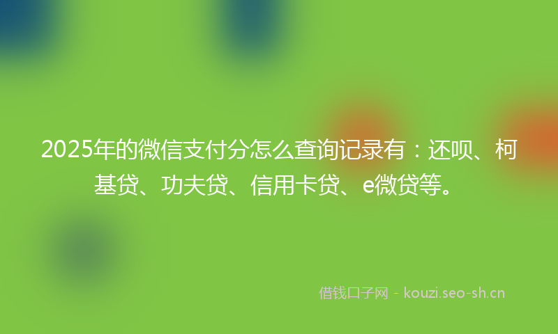 2025年的微信支付分怎么查询记录有：还呗、柯基贷、功夫贷、信用卡贷、e微贷等。
