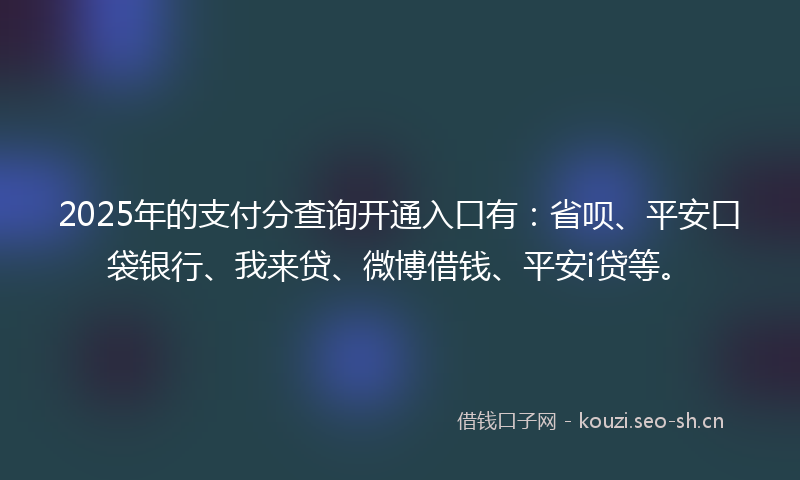 2025年的支付分查询开通入口有：省呗、平安口袋银行、我来贷、微博借钱、平安i贷等。
