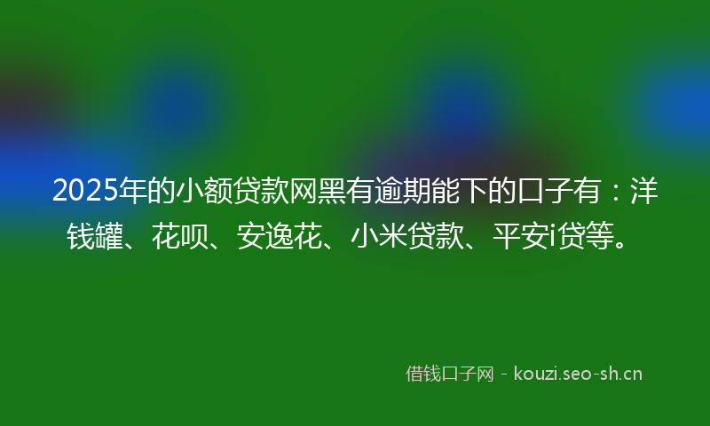 2025年的小额贷款网黑有逾期能下的口子有：洋钱罐、花呗、安逸花、小米贷款、平安i贷等。
