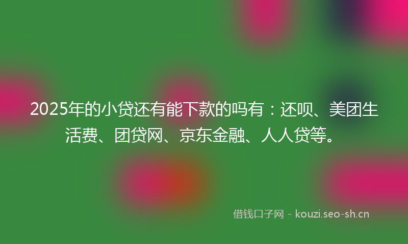 2025年的小贷还有能下款的吗有：还呗、美团生活费、团贷网、京东金融、人人贷等。