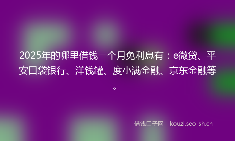 2025年的哪里借钱一个月免利息有：e微贷、平安口袋银行、洋钱罐、度小满金融、京东金融等。
